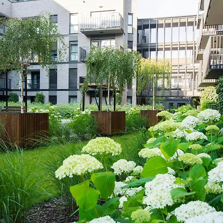 Urban Life * Gdańsk